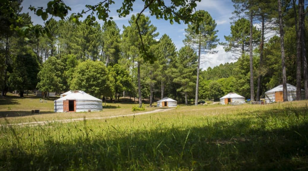 Dormir en yourte à zonza : une immersion insolite au cœur des aiguilles de bavella